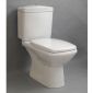 DM-San Duschmeister WC-Monoblock mit WC-Sitz AW Sano 392 Bild 1