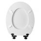 Cornat WC-Sitz WHITE MATT STEEL Bild 7