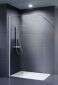 DuGU Dusar Walk In Palladium Neo 8 mm Duschwand Duschabtrennung Duschkabine Begehbare Dusche Bild 1