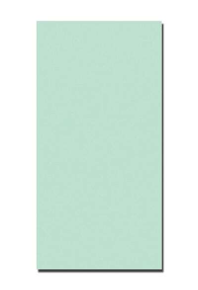 Duscholux Duscholux PanElle Individual Duschrückwand 6 mm Mint 1000 x 2500 mm